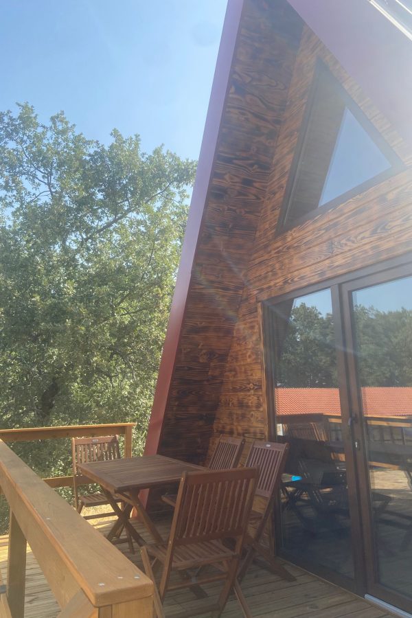 WhatsApp Image 2025-08-19 at 22.44.18